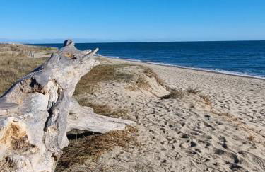 Villa atypique bord de plage méditerranée label architecture contemporaine remarquable - Foto 25