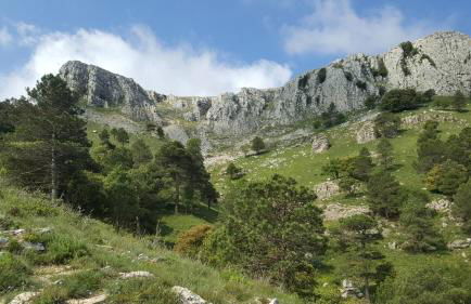 Villa Golfy 8 Golf Bonmont Terres Noves - Foto 62