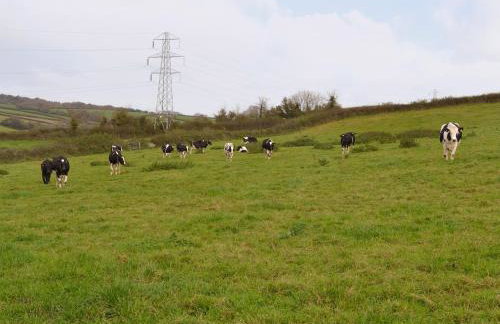Scrumpy Barn - Uk12014 - Foto 19