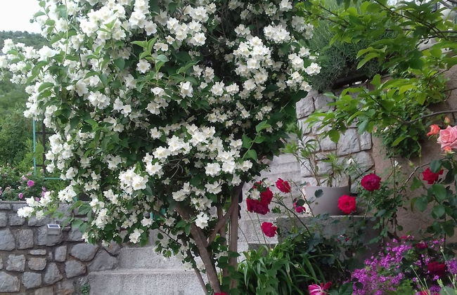 Apartments Luka & Leona - Foto 22