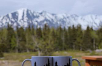 Knik Wilderness Getaway - Foto 5