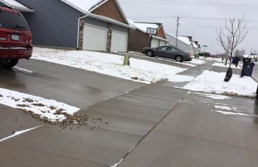 Brand new duplex - Photo 2