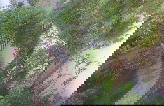 Sutomore View - Foto 8