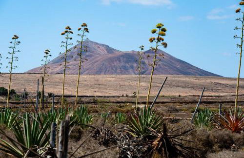 Villa Twins - Foto 36