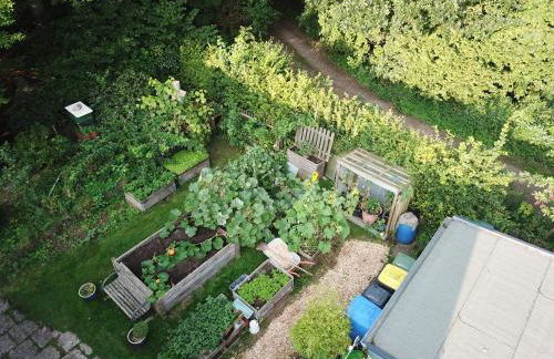 Ruhige Ferienwohnung „Südhang“ direkt am Wald - Foto 19