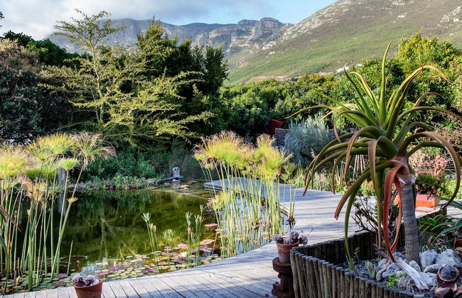 Leopardstone Hill - Photo 17