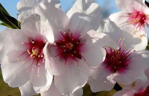 Home Ilardo - Foto 30