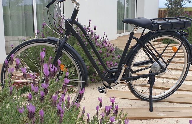 Casa Calmar - Photo 64