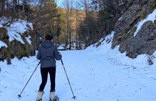 FLOR de MONTANHAS Appt vacances 4P- La Pierre St Martin GR10 - Foto 34