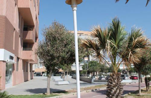 PACIFICO 18 - Photo 29