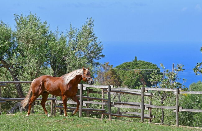 Villa Passulunara 14 - Photo 13