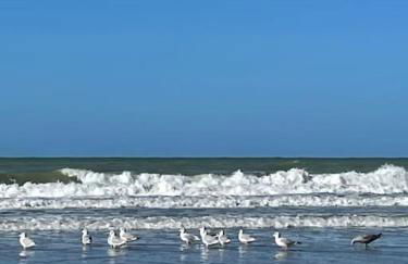 Stella Mare charmante maison proche du Touquet - Foto 15