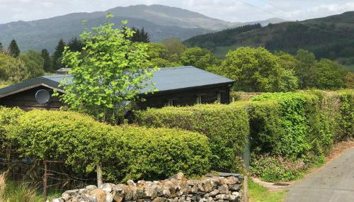 Cabin in the hills near Dolgellau - Foto 3
