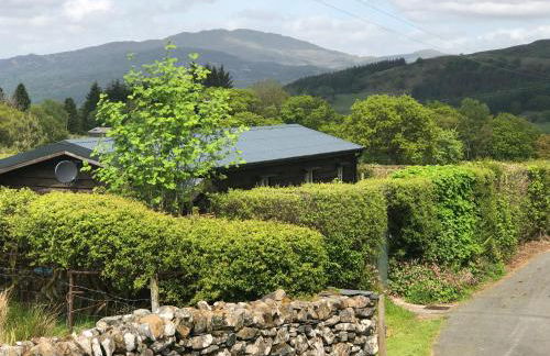 Cabin in the hills near Dolgellau - Foto 3