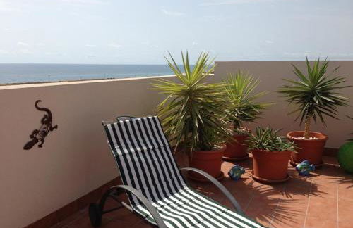 PAULINA EL BOSQUE - Foto 4