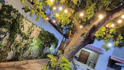 Casa de Praia em Pitimbu PB - Foto 5, Garden