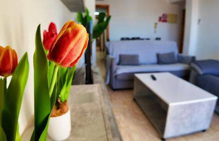 Apartalux Star Magic II - Foto 7