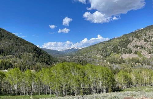 New for 2025 Chalet Homestake View - Foto 48