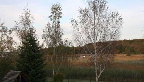 Ferienwohnung am Bodden - Photo 2