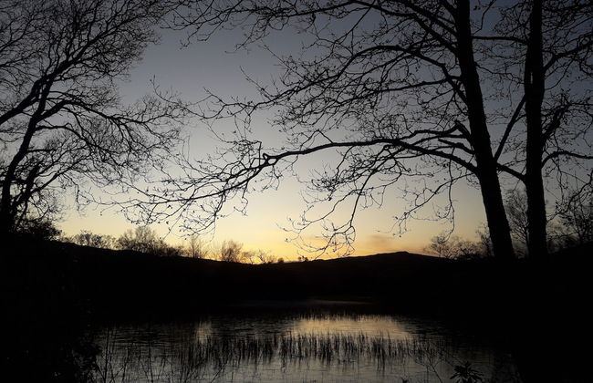 Cosy Woodland off Grid Shepherds Hut - Rowan - Foto 8