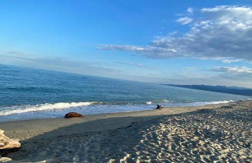 Les pieds dans l eau de Betty Ghisonaccia plage 50 m - Foto 46