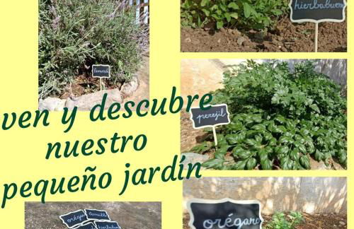 Casa Mariseta y Tonet, naturaleza a 2 km del mar - Foto 24