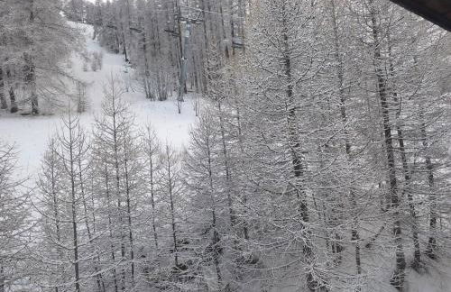 Duplex 6 personne au pied des pistes - Foto 13