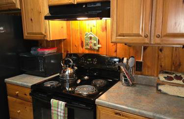 Lake Access! Twin Birch Resort - The Brown Bear - Foto 26