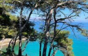 Hvar Architect's House - Photo 40