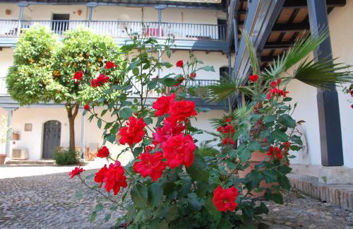 Luxury Apartment Plus Ultra - Foto 6