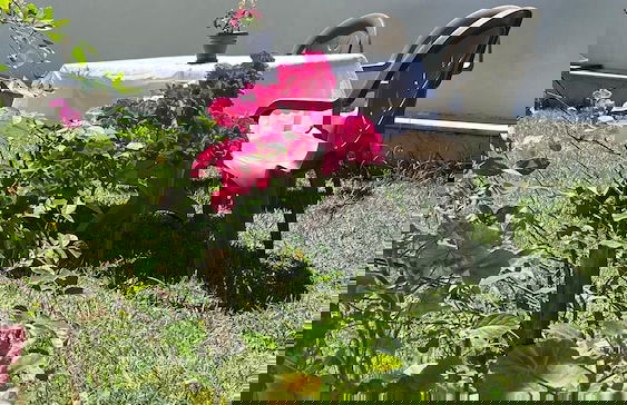 Cakil Apart - Photo 44