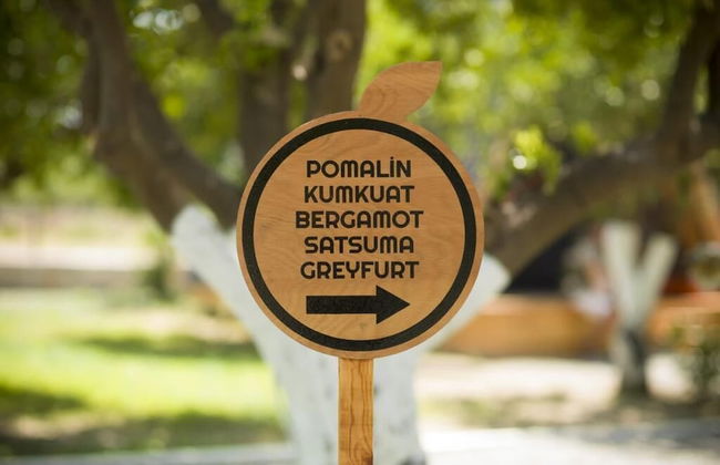 Limon Datca - Foto 12