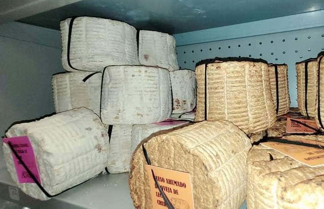 Degustação de vinhos e queijos em Guitiriz - Foto 6