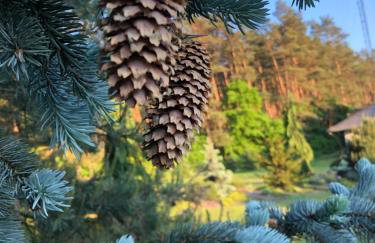 Willa przy lesie - Foto 28