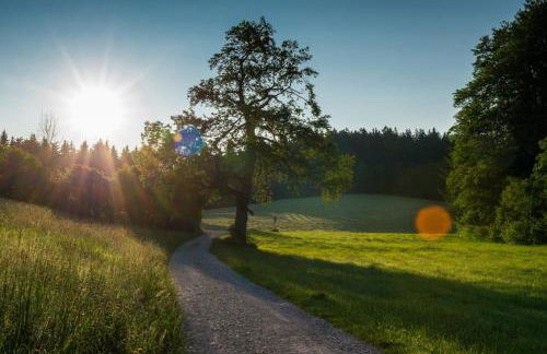 Ferienhaus Geißler Oslo - Foto 15