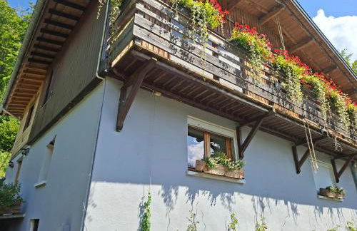 Appartement du bois des Fugiers - Foto 3