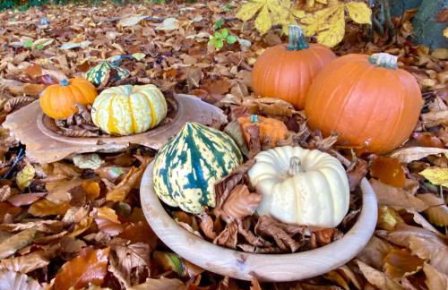 Grove House Levisham - Foto 24