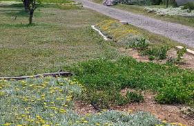 Coralia's beachfront sea view studio - Foto 7