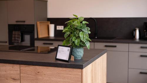 Boutique Studio im Herzen TBBs - Foto 5