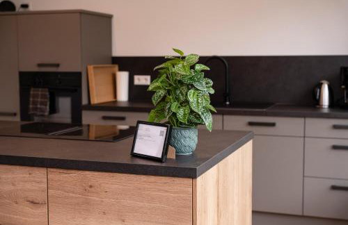 Boutique Studio im Herzen TBBs - Foto 5