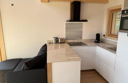 Le Mazot de L'Arpenaz - Photo 9