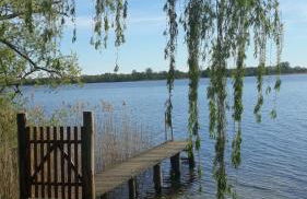 Ferienhaus am Schaalsee - Foto 13