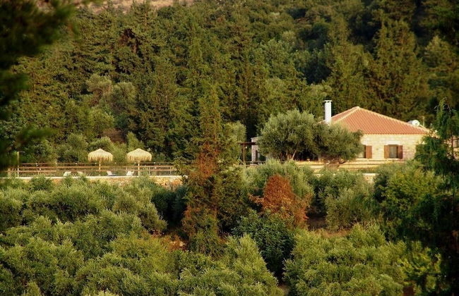 Boutique Villa Petra Eleni - Foto 36