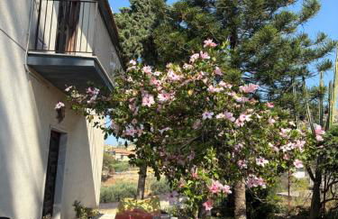 villa ibisco - Foto 9