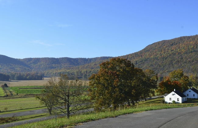 Mountain Cove Farms Resort - Foto 19