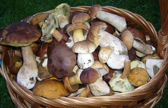 Villa in Krag Near Knight's Castle - Photo 27