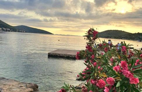 Apartmani Datea - Foto 50