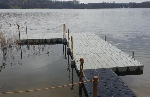 Bujanie w sitowiu - Foto 46