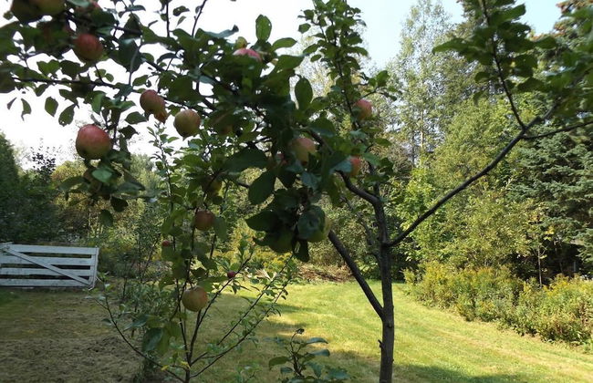 Le Domaine de l'Étang - Photo 13