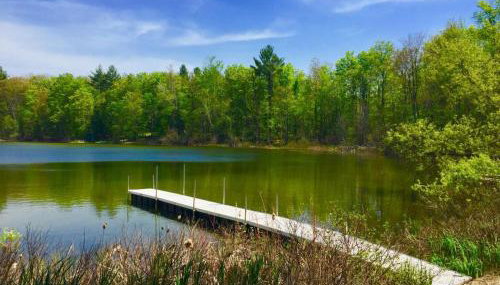 Lily Pad Cove - Foto 5